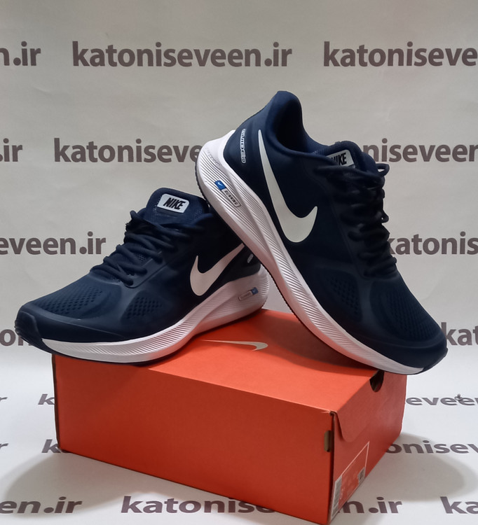 کتونی نایک گاید ۱۰ سورمهای نمای کلی